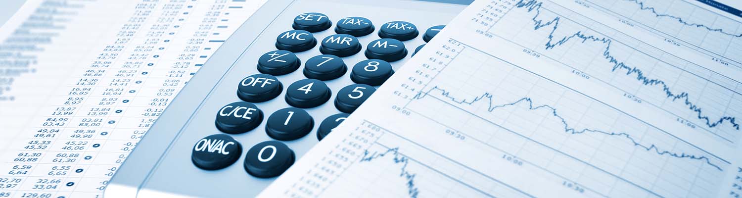Finance Fundamentals - Professional Development course hero