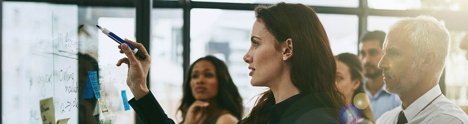 Marketing Strategy Management and Execution - Professional Development course hero